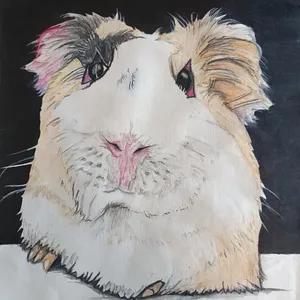 Le Hamster