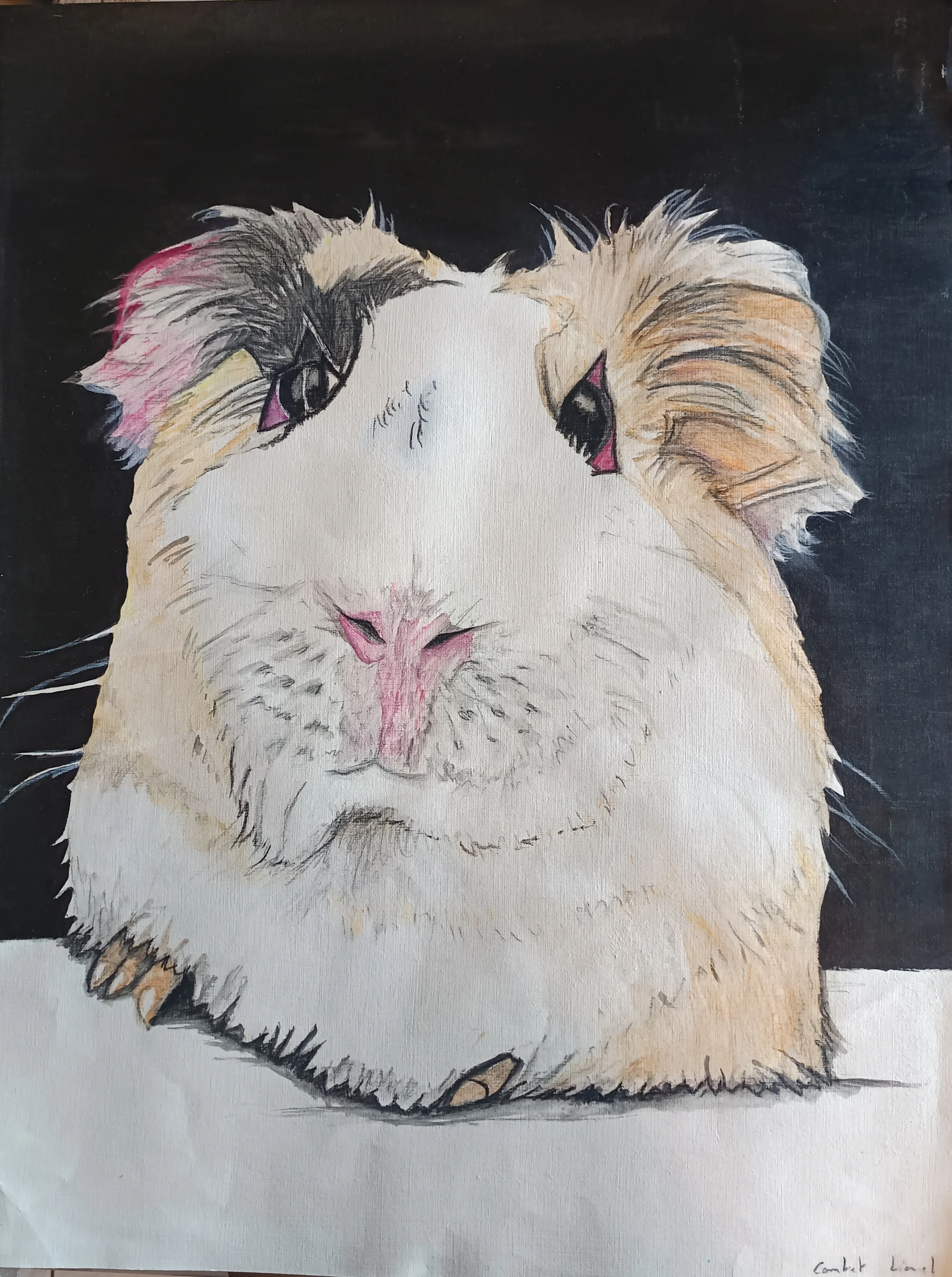 Le Hamster